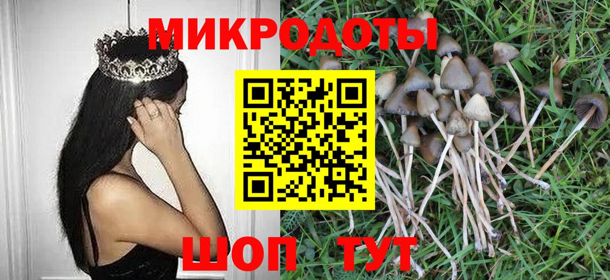 Холмск  Псилоцибиновые грибы GOLDEN TEACHER  наркота  Вход с VPN  Галлюциногенные грибы Cubensis 